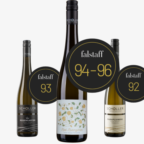 Falstaff Traisental DAC CUP Paket 2026